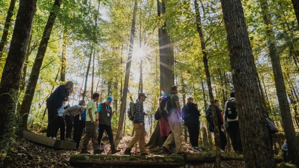 A groups of people walk on a wooded trail.
