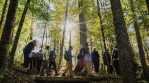 A groups of people walk on a wooded trail.
